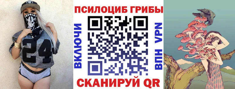 Псилоцибиновые грибы Cubensis  кракен зеркало  Строитель 